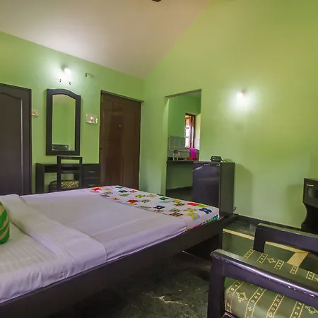 Oyo 18328 Home Green View Studio Colva Beach